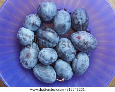 Plum prune (Prunus domestica) aka European plum fruits, healthy vegetarian food