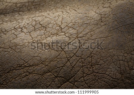 Elephant Skin / Hide, abstract background texture with Selective Focus on center of  image (Upper Left and Lower Right gradually soften), pigskin leather