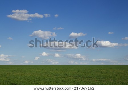 Wheat grass field in the Palouse Prairie of Washington State along US route 2 Green wheat with blue sky and clouds with distinct level horizon whole grain agriculture farming row crops