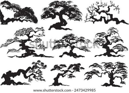 pine tree. bonsai. hand drawn illustration.