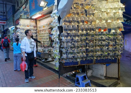 HONG KONG-NOVEMBER 21 : Customers visit fish shop on 21 Novemer 2014 in Hong Kong, China. Hong Kong Gold fish market in Tung Choi street is famous for tourists.
