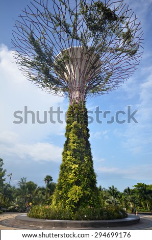 Super-tree in Garden by the bay at Singapore