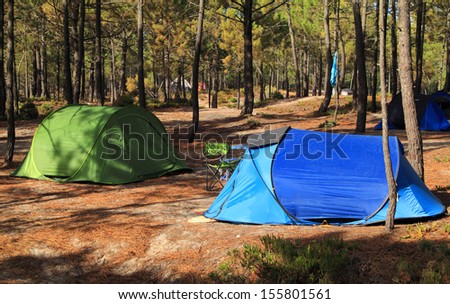 Wilderness camping in a pine forest. Alentejo Region, Portugal.