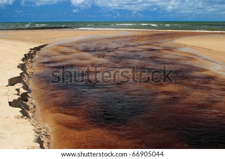 Brazil State of Bahia Praia de Forte ecological reserve sediment and tannins flow to river estuary after heavy rain
