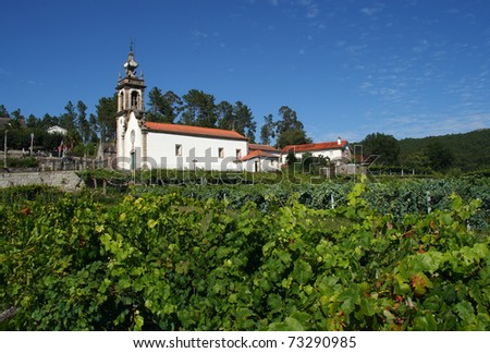 Portugal Minho Region  Beautiful baroque church in vineyard near Guimaraes