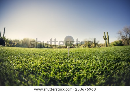 Tee off - golf ball - extreme wide angle view from low vantage point.Fisheye lens effect.