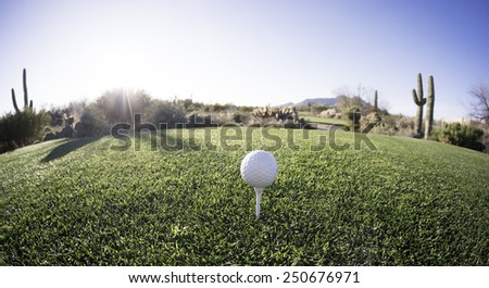 Tee off - golf ball - extreme wide angle view from from above. Fisheye lens effect.