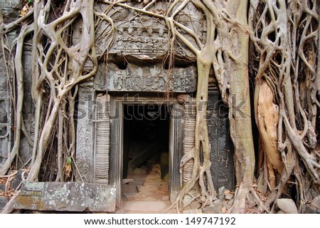 The door of the tomb raider temple in Ta Prohm temple , Angkor, Cambodia
