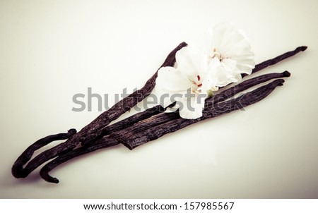 Vanilla Bean And Flower