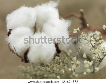 cotton flower on background of canvas bag with small white flowers near