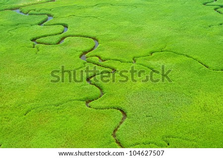 Image, Stock Photo Aerial View Green Marsh And River Landscape In Summer Day. Top View Of Beautiful European Nature From High Attitude In Summer Season. Drone View. Bird’s Eye View