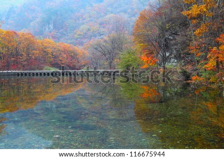 Autumn in northern China