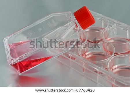Flask and 6-well plate with culture medium for cultivation of cell cultures in biomedical research