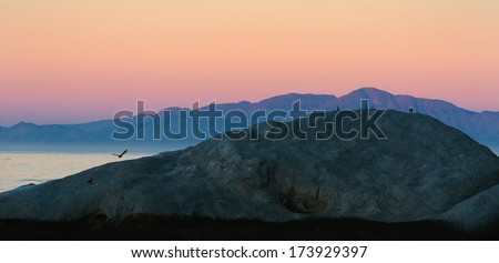 Sunset at rock landscape. Ocean coast with rock formation island silhouette under evening sun. Simons Town. South Africa