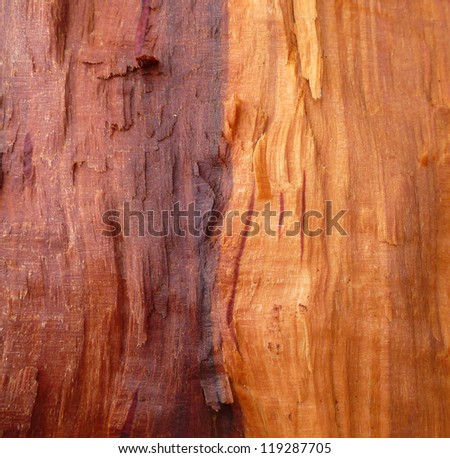 Raw wood