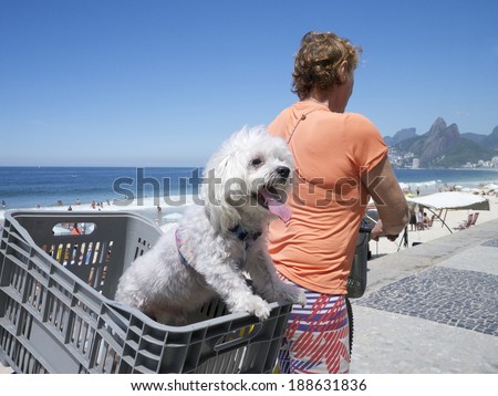 Happy white dog riding in the basket of a bike on the boardwalk at Ipanema Beach Rio de Janeiro Brazil