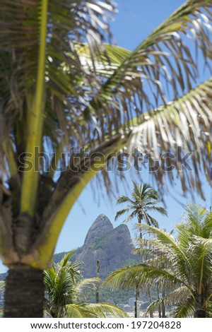 Tropical view of Two Brothers Mountain through palm trees at Ipanema Beach Rio de Janeiro Brazil