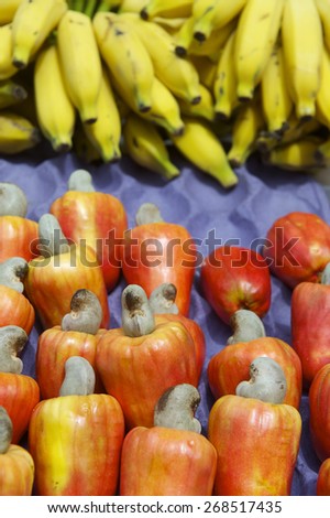 Colorful fruit harvest of bananas and Brazilian caju cashew fruit at tropical fruit farmers market in Nordeste Brazil