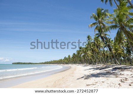 Palm trees on wide remote tropical Brazilian island beach in Bahia Nordeste Brazil