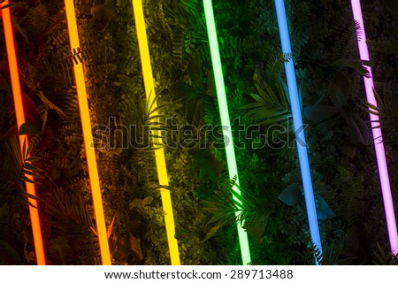 Fluorescent light tubes cast their brightly colored rainbow lights on a background of greenery