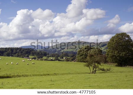 View across farmland in the Lake District - landscape orientation