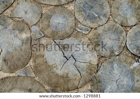 Aged circles on a wood