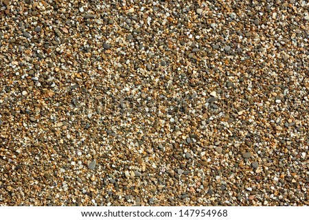 Fragment of beach pebble with small colored pebbles, stones and shells detail close-up in bright sunlight