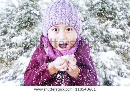 Boy is playing with snow under pine tree during winter