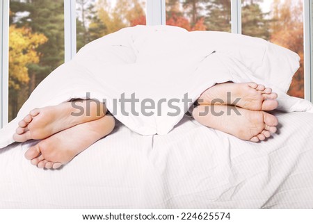 Closeup of feet of couple sleeping separate on bedroom with autumn tree background on the window