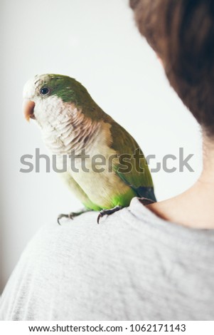 Similar – Image, Stock Photo Close-up of a parakeet inside the cage