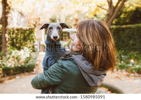 hug greyhounds