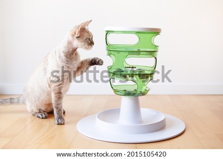 Similar – Image, Stock Photo play instinct