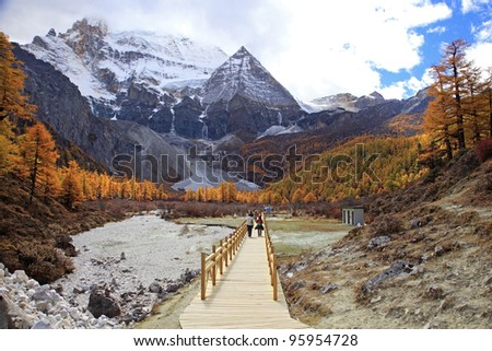 Colorful autumn in Yading national level reserve, Daocheng, Sichuan Province, China.