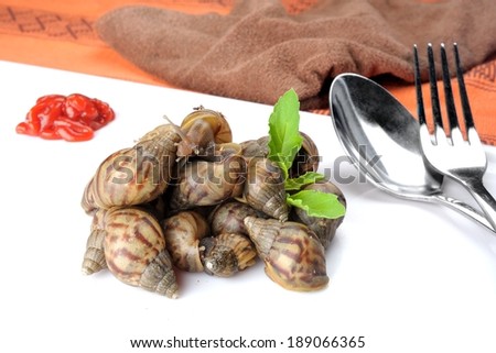 snails be alive on white plate with tomato sauce, fake food