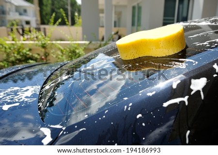 closeup yellow sponge on black car with water splash