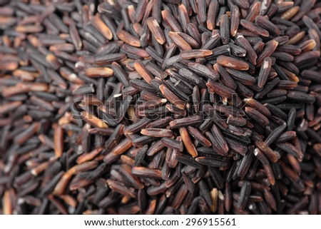 closeup details of Thai rice berry, rice berry is a cross-bred unmilled rice possessing dark violet grain and Thai Hom Mali Rice.