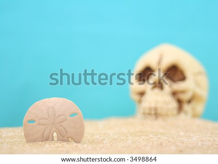 Sand Dollar And Skull on Sand With Blue Background. Shallow DOF, Focus on Sand Dollar