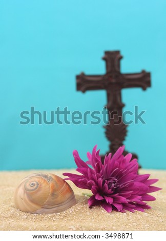 Shell and Flower on Sand With Cross, Shallow DOF, Focus on Shell