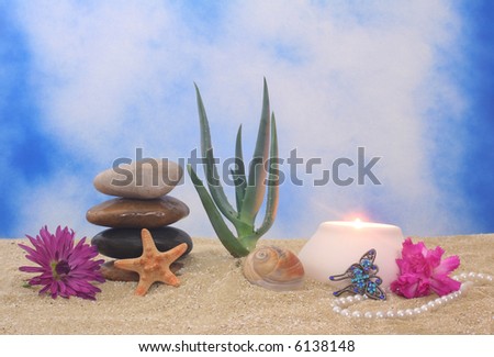 Candle and Aloe Plant on Beach