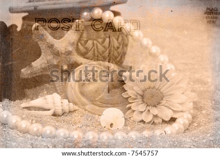 Vintage Grunge Style Postcard Background With Sea Shells and Flower