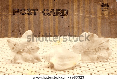 Vintage Grunge Style Postcard with Sea Shells and Flowers