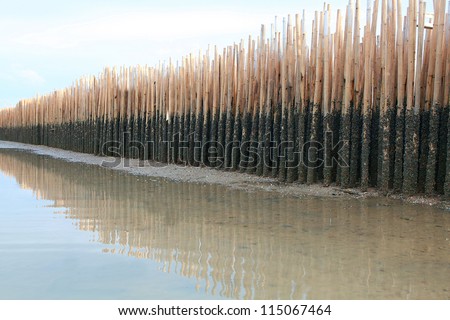 Old bamboo fence protect sandbank from sea wave at Phuket Thailand
