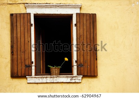 An open window with flower against a plastered textured wall and  wooden shutters..
