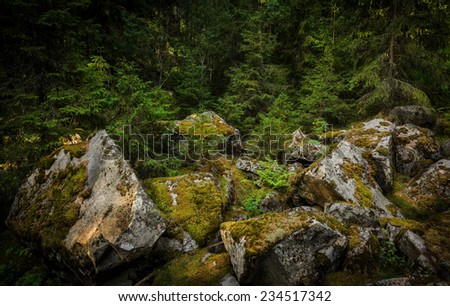 moss covered pile of granite stones