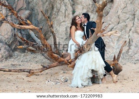 Bride and groom sitting on a big tree