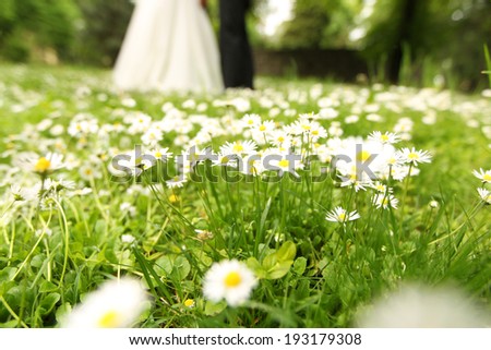 Chamomile flowers with bride and groom in the background