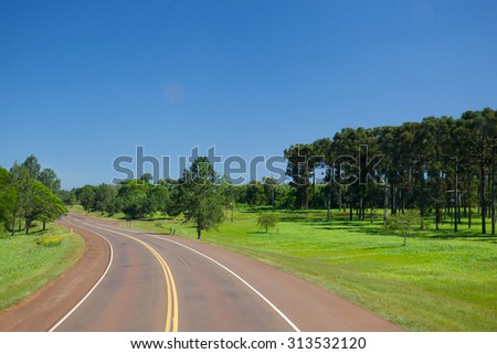 Paved road in a green forest. Turn left. Photograph taken with a high point.