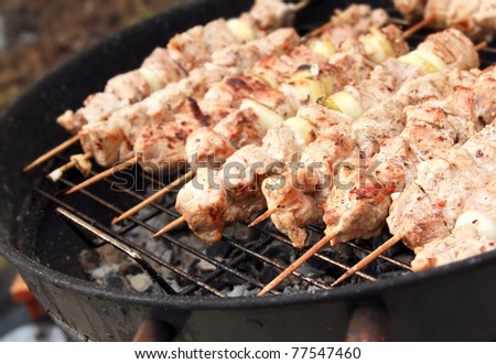 Barbecue meat sticks on mangal. Picnic on nature