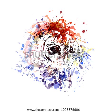 Vector color illustration head owl