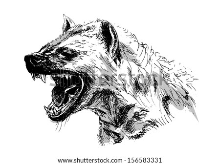 Hyena Vector Illustration - 156583331 : Shutterstock